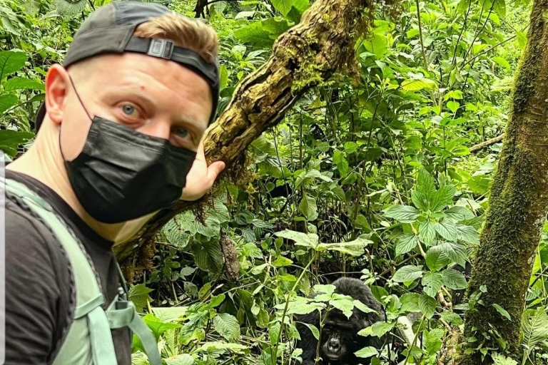 4-tägiger Kurzurlaub in Uganda - Gorilla Trekking Bwindi