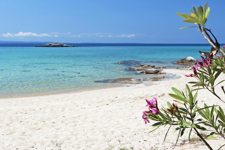 Saloniki: Halkidiki/Sithonia Swim, Sunset &amp; Olive Tour