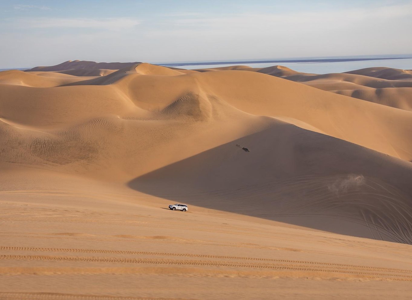 Walvis Bay: 4x4 ørkenudflugt til Sandwich Harbour Bay