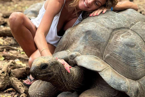 ZANZÍBAR: isla de la Prisión, natación en cuevas y Laguna Azul