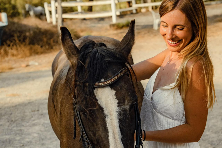 Bordeaux: Private Horseback Riding and Wine Tasting & Picnic