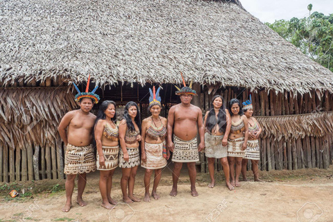 Ab Iquitos | Ganztägig peruanischer Dschungel |