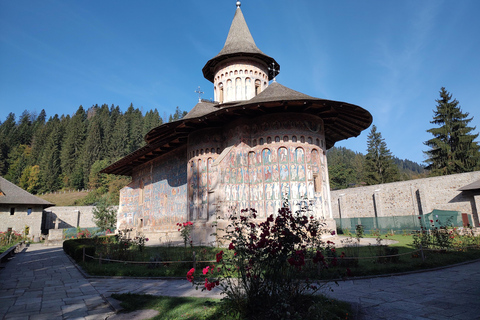 Romania: tour di 7 giorni con alloggio e pastiRomania: tour di 7 giorni con alloggio e pasti inclusi