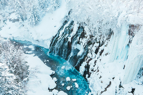 Hokkaido dagsutflykt: Asahiyama Zoo, Biei och Ningle Terrace