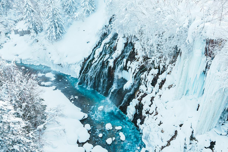 Hokkaido: Asahiyama Dierentuin, Shirahige Val, Ningle Terras Dag