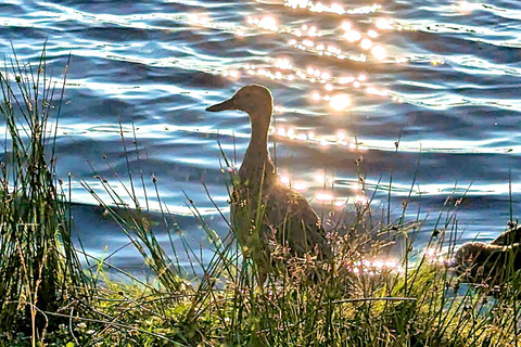Kemeri N Park, Jurmala, Lake Melnezers & White Castle Hotel