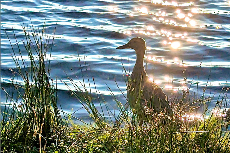 Kemeri N Park, Jurmala, Lake Melnezers & White Castle Hotel