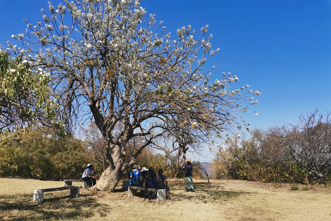 Visite guidée d&#039;une journée sur la route du Monte AlbanBillets et repas inclus