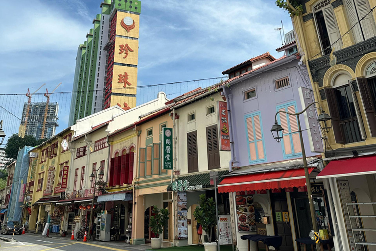 جولة بالسيارة في سنغافورة: الحي الصيني/حاجي لين/جو تشياتجولة خاصة لمدة 4 ساعات | جولة خاصة