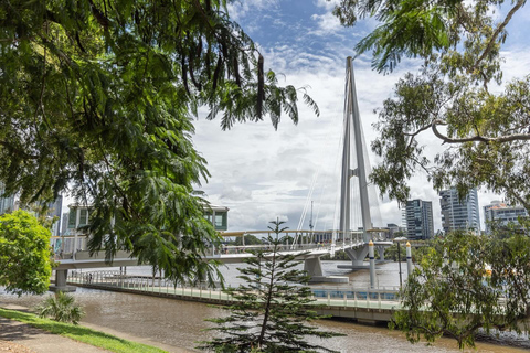 Hop on Hop off - Brisbane City - The Heart of Brisbane Brisbane City Loop + Tamborine Mountain Hop on Hop off