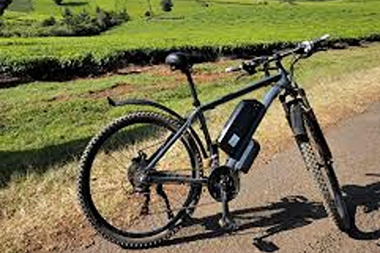 Limuru: E-Bike Ride Through Tea Plantations Limuru: Tea Farms E-Bike riding & sky cycling