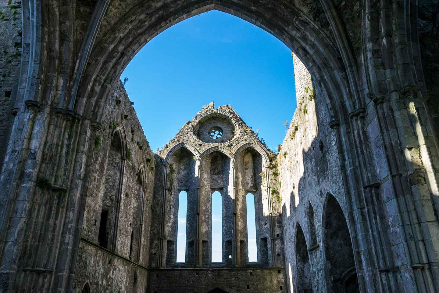 Cashel: Rock of Cashel, Folklore Museum, and Town Tour