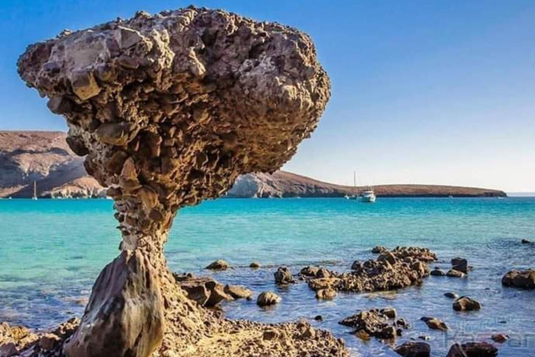 Los Cabos: Incredible Private Tour to Balandra