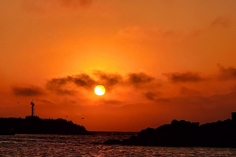 لوس أنجلوس رقم 1: رحلة بحرية فاخرة على متن قارب - نبيذ وجبن وأسود البحرجولة الفريق