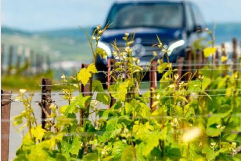 Aix-en-Provence: Rosé & Côtes de Provence Wine Tour