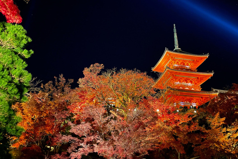 Kyoto Day Trip from Tokyo by Bullet Train Private Tour