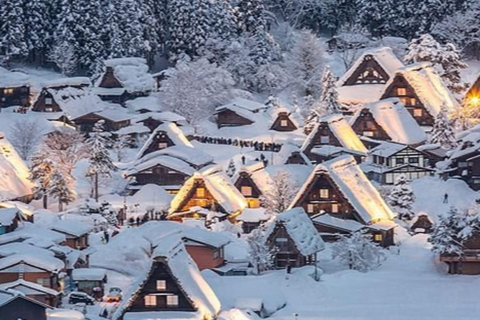 Tokyo: 7-Day Japan Highlights Private Guided Tour