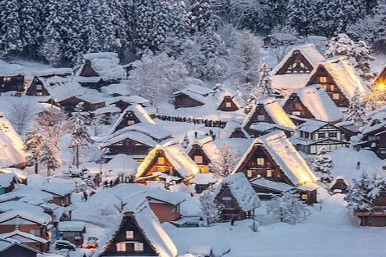 Tokyo: 7-Day Japan Highlights Private Guided Tour