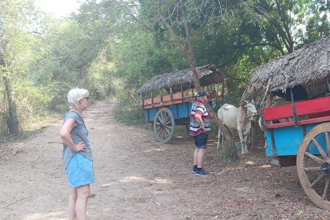 From Kandy: Sigiriya Lion Rock fortress and Village Trip