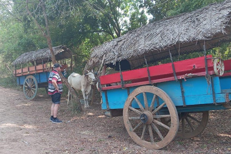 Von Kandy aus: Sigiriya Löwenfelsenfestung und Dorfausflug