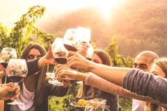 Genfer Land Art Museum Wein auf einem Schloss mit dem E-Bike