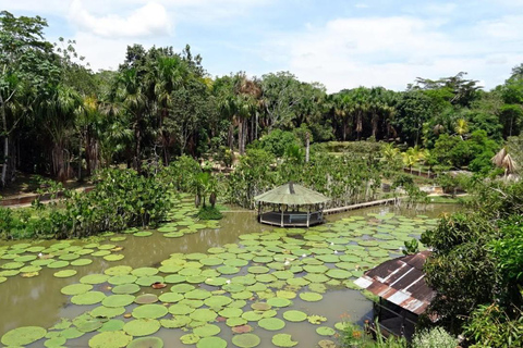 amazon river iquitos day tour