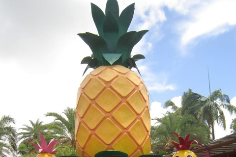 Okinawa: Nago Pineapple Park Ticket & Cart Ride