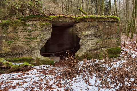 From Brussels: Bastogne Battle of the Bulge Private Tour