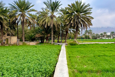 Nizwa, Al Hamra & Misfat Al Abriyeen: Guided tour in German.