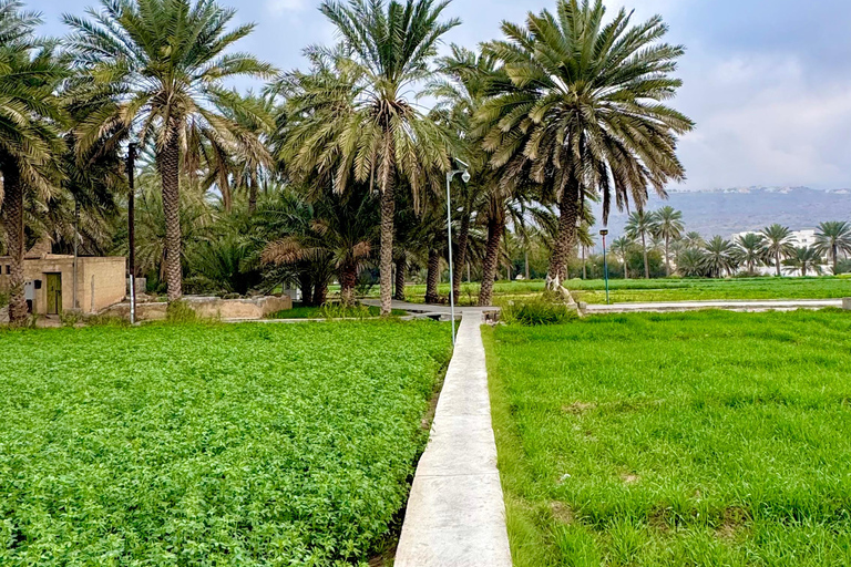 Nizwa, Al Hamra & Misfat Al Abriyeen: Guided tour in German.