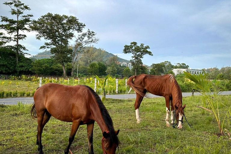 Aventura a caballo por la playa de PhuketEquitación 8:30