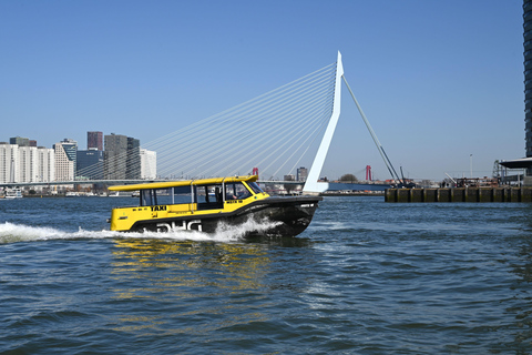 Delft & Rotterdam: Private Day Tour with Private Boat Ride English speaking guide. Start in Delft or Rotterdam.