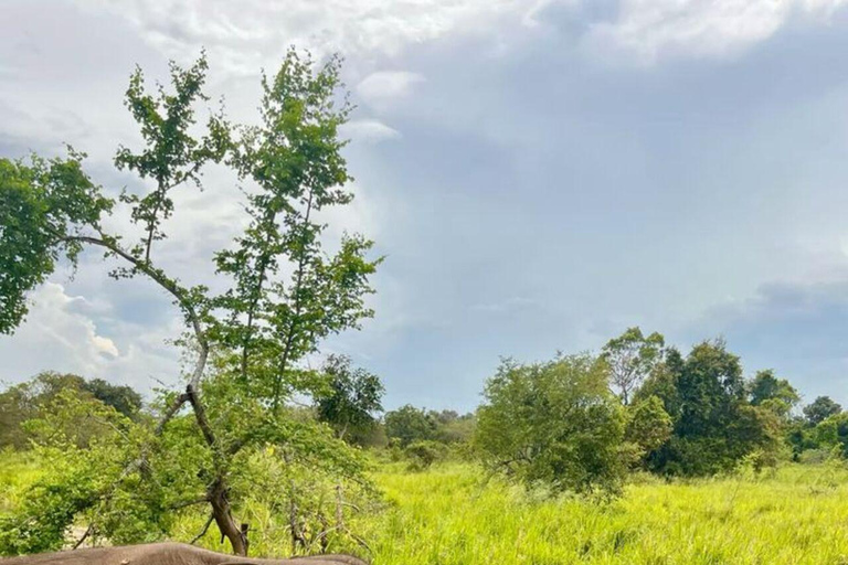 Habarana: Hurulu Eco Park Wildlife Photography Tour