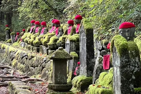 Tokyo : Visite touristique privée de Nikko en Land Cruiser de luxe