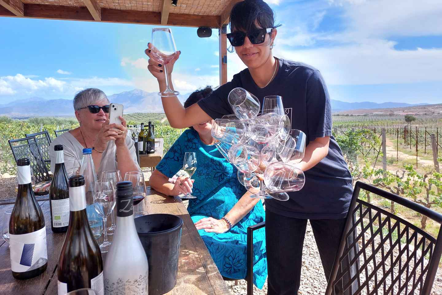 Heraklion: Cretan Wine Tasting Tour & Gourmet Lunch