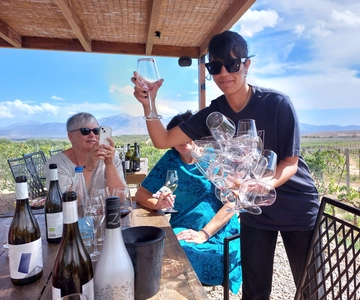 Heraklion: Cretan Wine Tasting Tour & Gourmet Lunch