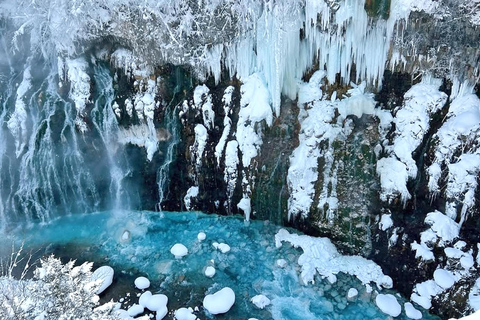Sapporo: Asahiyama Zoo, waterval en Blue Pond Tour8:10 uur: ontmoeting bij de noordelijke uitgang van JR Sapporo Station