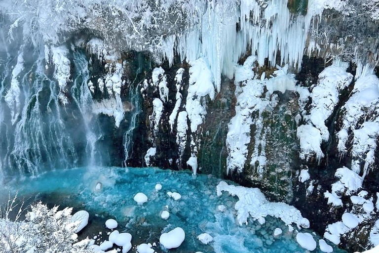 Sapporo: Asahiyama Zoo, waterval en Blue Pond Tour8:10 uur: ontmoeting bij de noordelijke uitgang van JR Sapporo Station