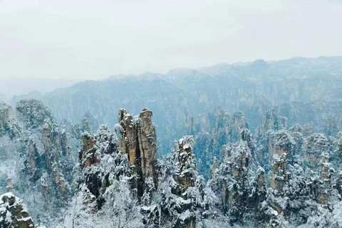 Visite privée d&#039;une journée à Zhangjiajie — Options multi-panoramiquesOption E : Grand Canyon et lac Baofeng