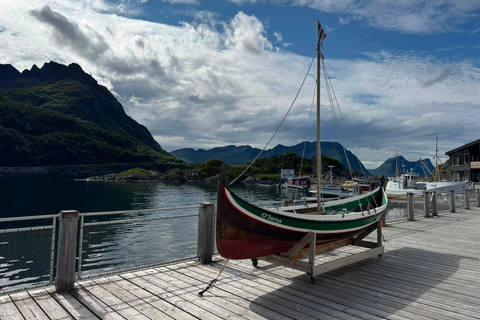 Tromso: SENJAtional: Sommaroy and Senja (7 people max) Tromso: One Day Trip to Senja