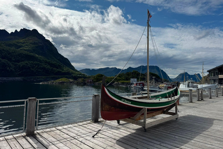 Tromso: SENJAtional: Sommaroy and Senja (7 people max) Tromso: One Day Trip to Senja