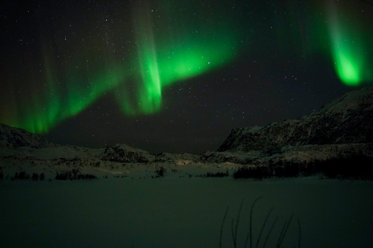 Tromsø: Small-Group Adventurous Northern Lights Hunt