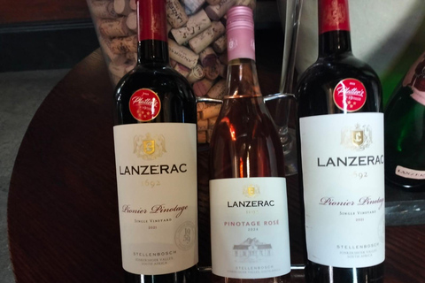 Cidade do Cabo: Degustação exclusiva de vinho Pinotage (excursão privada)