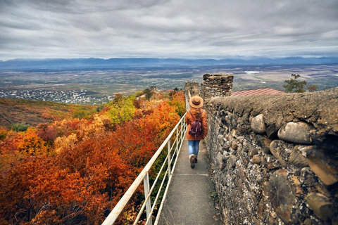 From Tbilisi: Kakheti Day Trip with Wine Tasting