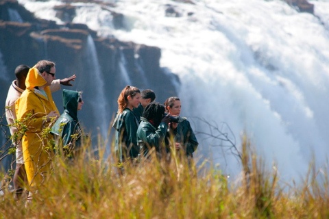 Victoria Falls: Chobe & Okavango Delta Camping Safari Tour