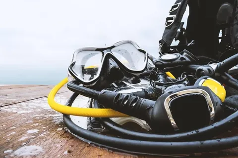 Florida Keys: Scuba Diving & Snorkeling Reef Trip