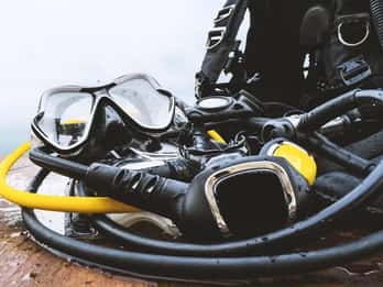 Florida Keys: Immersioni subacquee e snorkeling nella barriera corallina