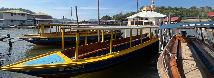 Croisière découverte de la faune à Cuti Brunei Muara