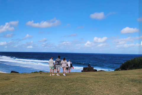 Mauritius: Tour entlang der Südküste mit Tee-Fabrik und Gris GrisMauritius: Tour entlang der Südküste mit Tee-Fabrik &amp; Gris Gris
