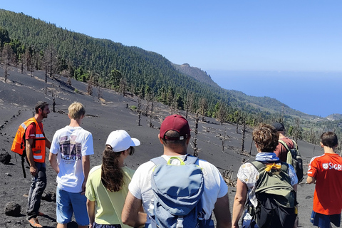 Tajogaite VIP Experience: Ruta Privada con Guía certificado y Dron